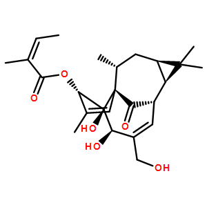 巨大戟醇-3-O-当归酸酯