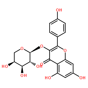 堪非醇 3-O-阿拉伯糖苷