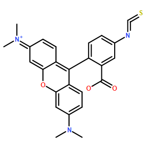 5-TRITC; G 異構體 [四甲基羅丹明-5-異硫氰酸]