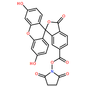 6-FAM, SE [6-羧基熒光素琥珀酰亞胺脂]*標驗證標記核苷酸*