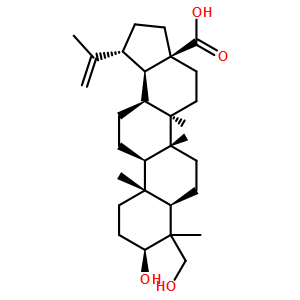 23-羟基白桦酸
