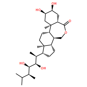 芸苔素内酯 95%