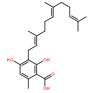 灰叶酸