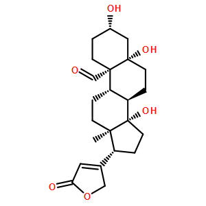 毒毛旋花子苷K