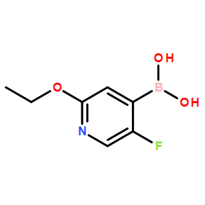 3-Ethoxy-5-methylpyridine-4-boronicacid
