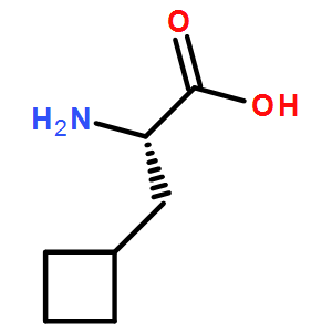 L-Cyclobutylalanine
