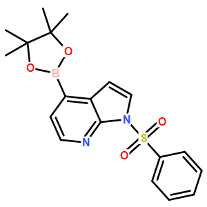 1-(phenylsulfonyl)-4-(4,4,5,5-tetramethyl-1,3,2-dioxaborolan-2-yl)-1H-Pyrrolo[2,3-b]pyridine