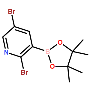 2,5-dibromopyridine-3-boronic acid pinacol ester