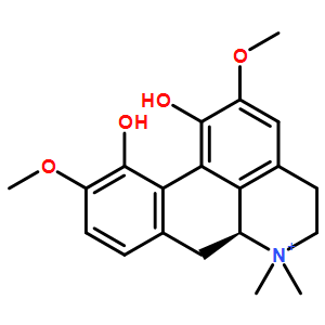 Magnoflorine