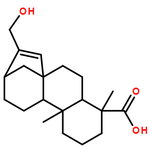 ENT-17-羟基-等效-贝壳杉-15-烯-19-酸