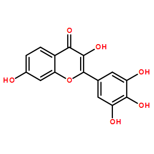 洋槐黃素