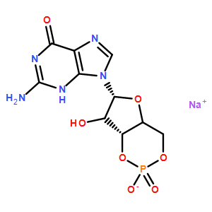 鳥苷-3',5'-環(huán)磷酸鈉鹽