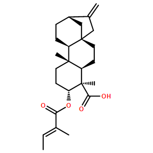 3ALPHA-巴豆酰基氧基-等效-贝壳杉-16-烯酸