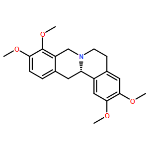 罗通定