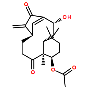 Kongensin A