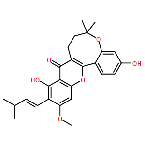 桂木黄酮