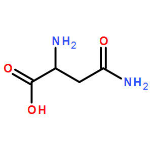 L-天冬酰胺"L-Asparagine "