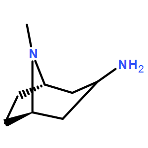 Exo-8-methyl-3-aminoazabicyclo[3.2.1]octane
