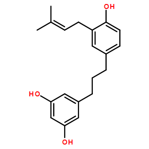 構(gòu)樹寧C