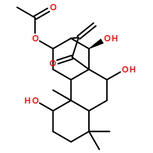 香茶菜乙素