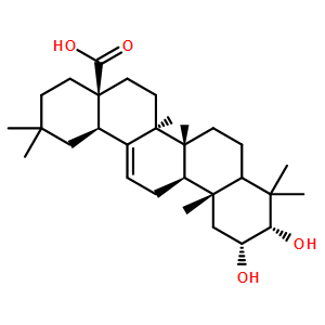26563-68-8  2，3-二羟基-12-齐墩果烯-28-酸