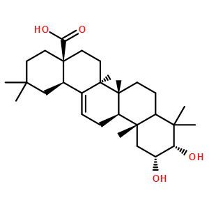 2，3-二羥基-12-齊墩果烯-28-酸