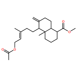 乙酰基异柏烯酸
