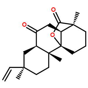 玫瑰菌素