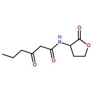 荧光素酶(细菌)