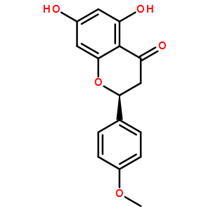 異櫻花亭