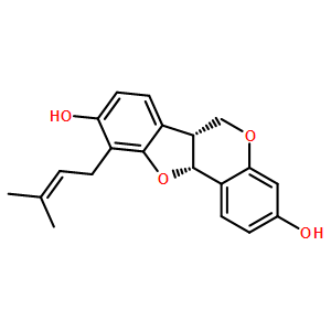 Phaseollidin