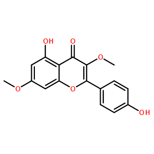 熊竹素华良姜素