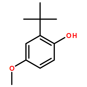 4-羟基-3-叔丁基-苯甲醚