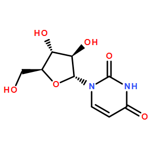 尿嘧啶核苷Uridine