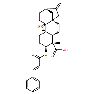 3ALPHA-肉桂酰氧基-9BETA-羥基-等效-貝殼杉-16-烯-19-酸