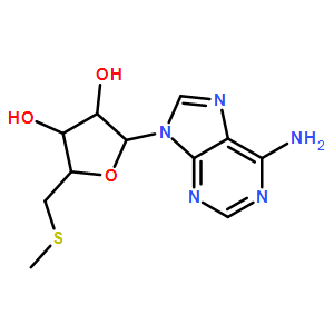 2457-80-9  5-脱氧-5-甲硫腺苷