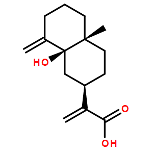 5beta-Hydroxycosticacid