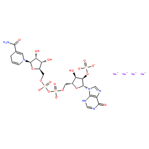 还原辅酶Ⅱ四钠盐/烟酰胺腺嘌呤二核苷酸磷酸四钠盐/烟酰胺腺嘌呤双核苷酸磷酸四钠盐/β-NADPH/TPNH2 Na4