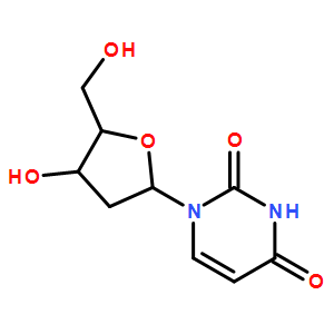 2'-脫氧尿嘧啶核苷