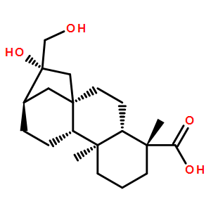 ENT-16BETA，17-二羥基-19-異貝殼杉烷酸