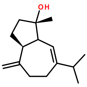 澤瀉醇