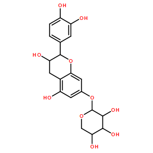 7-木糖苷兒茶酚