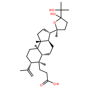 AglininA