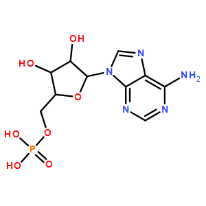 5'-一磷酸腺苷