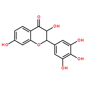 刺槐亭