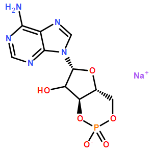 3',5'-環(huán)腺苷單磷酸鈉鹽