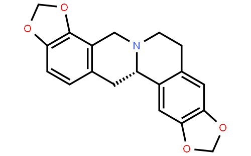 金罂粟碱