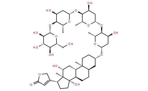 去乙酰毛花苷丙(订货以英文名为准)