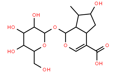 马钱苷酸