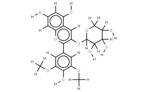 氯化锦葵色素-3-o-阿拉伯糖苷